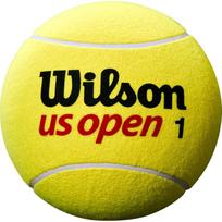 wilson kamuolys - WILSON Jumbo US Open - 1 nuotrauka