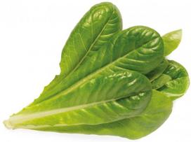 daigykla - Išmanios daigyklos sėklos Click & Grow Smart Home Romaine Lettuce, 3 vnt. - 2 nuotrauka