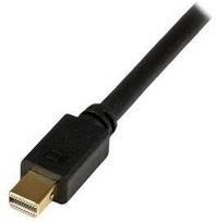 displayport to dvi - StarTech Mini DisplayPort To DVI Adapter Cable 3m Black - 3 nuotrauka