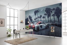 senukai tapetai - Foto tapetas KOMAR 8-742 368x254cm Audi R8 - 2 nuotrauka