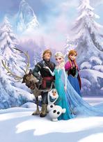 Foto tapetas Sunny Decor SD498 184x254cm Frozen Winter