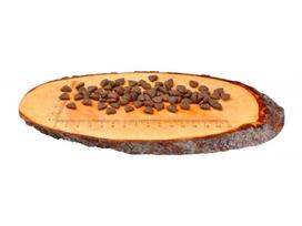 carnilove katems - CARNILOVE Cat Energy & Outdoor Renifer 6 kg - 2 nuotrauka