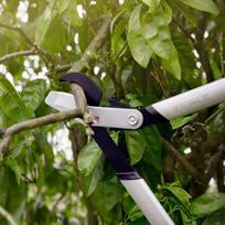 fiskars x - Fiskars PowerGear X Lopper Bypass S LX92 - 2 nuotrauka