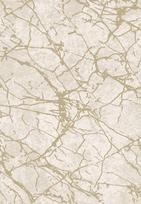 kilimas domoletti - Kilimas Allora Plus 8997a_k3711, 1x1.5 m - 1 nuotrauka