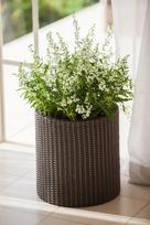 vazonasi - Keter Cylinder Planters 3pcs Brown - 5 nuotrauka