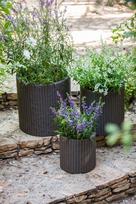 vazonasi - Keter Cylinder Planters 3pcs Brown - 6 nuotrauka