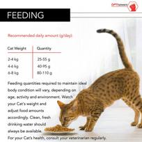 purina pro plan 10kg - Purina Pro Plan Sterilised OPTISenses Adult Salmon 10kg - 4 nuotrauka