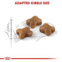 katieji - Royal Canin Kitten 2 kg - 4 nuotrauka