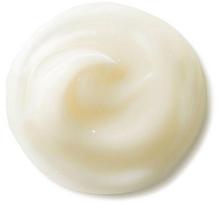 shiseido benefiance kremas - Shiseido Benefiance NutriPerfect Day Cream SPF15 50ml - 4 nuotrauka