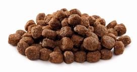 brit premium 15 - Brit Premium Dog Junior L 15 kg - 4 nuotrauka