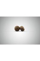 josera 12.5kg - Josera High Energy Adult 15 kg - 2 nuotrauka