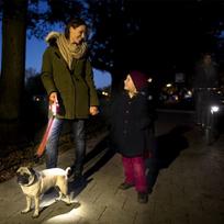 ledo sunys - Flexi Vario System LED Flash Belt L - 4 nuotrauka