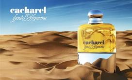 cacharel pour homme - Cacharel Pour Homme, 50ml (EDT) - 3 nuotrauka