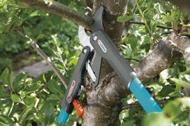 gardena comfort - Gardena Comfort Ratchet Lopper SmartCut - 4 nuotrauka