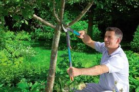 gardena comfort - Gardena Comfort Ratchet Lopper SmartCut - 6 nuotrauka