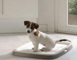 palutes - Savic Puppy Trainer Pads Medium 30PCS - 4 nuotrauka