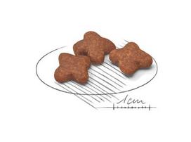 royal canin shn - Royal Canin SHN Mini Adult 8 Plus 8kg - 2 nuotrauka
