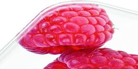 beurer ks19 - Beurer KS 19 berry - 2 nuotrauka