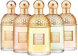 guerlain aqua allegoria - Guerlain Aqua Allegoria Pamplelune 75ml EDT - 4 nuotrauka