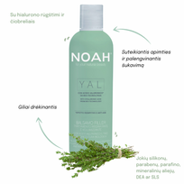 noah yal - Gydomasis drėkinantis ir purumo suteikiantis balzamas su hialurono rūgštimi ir čiobreliais iš organinių ūkių, 250 ml - 2 nuotrauka