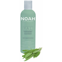 noah yal - Noah YAL Hydrating And Restorative Treatment Šampūnas Atkuriamasis drėkinantis šampūnas su hialurono rūgštimi ir šalaviju, 250 ml - 1 nuotrauka