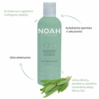 noah yal - Noah YAL Hydrating And Restorative Treatment Šampūnas Atkuriamasis drėkinantis šampūnas su hialurono rūgštimi ir šalaviju, 250 ml - 3 nuotrauka