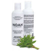 noah sampunas - Noah 1.7. Šampūnas With Juodas Peper And Pepermint Plaukus stiprinantis šampūnas silpniems, slenkantiems plaukams, 250 ml - 1 nuotrauka