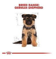 royal canin sunu 12kg - Royal Canin german Shepherd Junior 12 kg - 3 nuotrauka