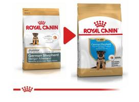 royal canin sunu 12kg - Royal Canin german Shepherd Junior 12 kg - 4 nuotrauka