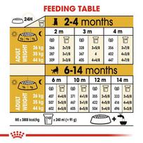 royal canin sunu 12kg - Royal Canin german Shepherd Junior 12 kg - 5 nuotrauka