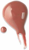 pigu lt lupu dazai - Bourjois Gloss Fabuleux Lip lūpų blizgesys 3,5 ml. - 06 Cream Comes True - 3 nuotrauka