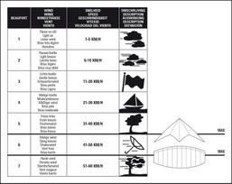 aitvaras -  51XI Stunt Kite Irma 140 - 4 nuotrauka