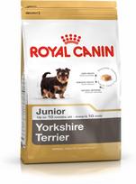 sausas maistas jorksyrams - Royal Canin Yorkshire Terrier Junior 0,5 kg - 1 nuotrauka