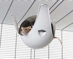 narvai - Namelis Savic Sputnik XL - 4 nuotrauka