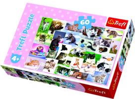 Trefl Puzzle Cats World 60pcs 17332