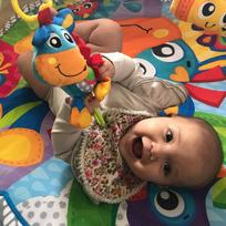 muzikinis centras - Lavinamasis kilimėlis Playgro Clip Clop 0186991, 99 cm x 97.5 cm - 10 nuotrauka