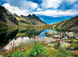 delione 3000 - Dėlionė Trefl Starolesnianski Pond Tatras Slovakia 33031T, 3000 dalių - 2 nuotrauka