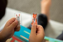 magnetinis stalas zaidimas - Stalo žaidimas Smart Games Down The Rabbit Hole, EN - 5 nuotrauka