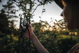 saku zirkles - Fiskars P721 - 3 nuotrauka