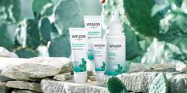 weleda veido kremas - Weleda Prickly Pear Hydration 100ml Veido losjonas - 2 nuotrauka