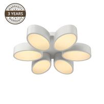 Šviestuvas Domoletti ALMOND B1907-6S, lubinis, 8 W