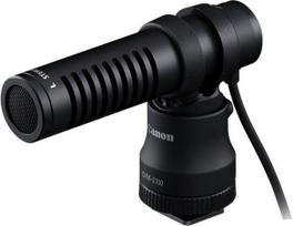 Canon  DM-E100