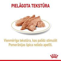 suaugusiesiems, - ROYAL CANIN Pomeranian 12x85g drėgnas pašaras - paštetas, skirtas suaugusiems Pomeranian veislės šunims - 3 nuotrauka