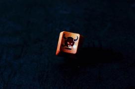 pbt keycaps - Traitors MMXXI Ox, įvairių spalvų - 6 nuotrauka