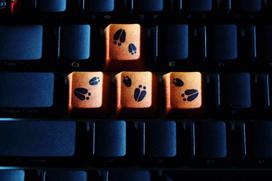 pbt keycaps - Traitors MMXXI Ox, įvairių spalvų - 9 nuotrauka