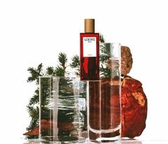 loewe solo - Loewe Solo Loewe Cedro 2021 EDT 100 ml - 2 nuotrauka
