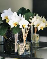 juodoji orchideja - Acappella Black Orchid (Juodoji Orchidėja) 100 ml - 3 nuotrauka