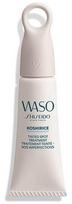 shiseido kremai - Shiseido Waso Koshirice Tinted Spot 8ml Moterims Local Care - 3 nuotrauka