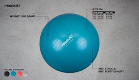 gimnastikos kamuolys 75 - Gimnastikos kamuolys Avento 42OC, sidabro, 750 mm - 4 nuotrauka