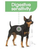 digestive - ROYAL CANIN Mini Digestive Care 3 kg - 3 nuotrauka